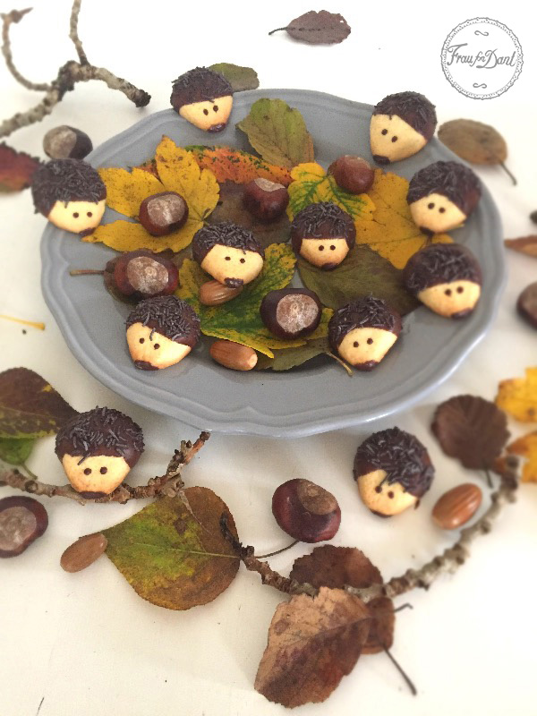  Igel Kekse – Frau fon Dant Illustration 