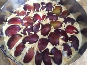 rz_pflaumenstreusel3ffd